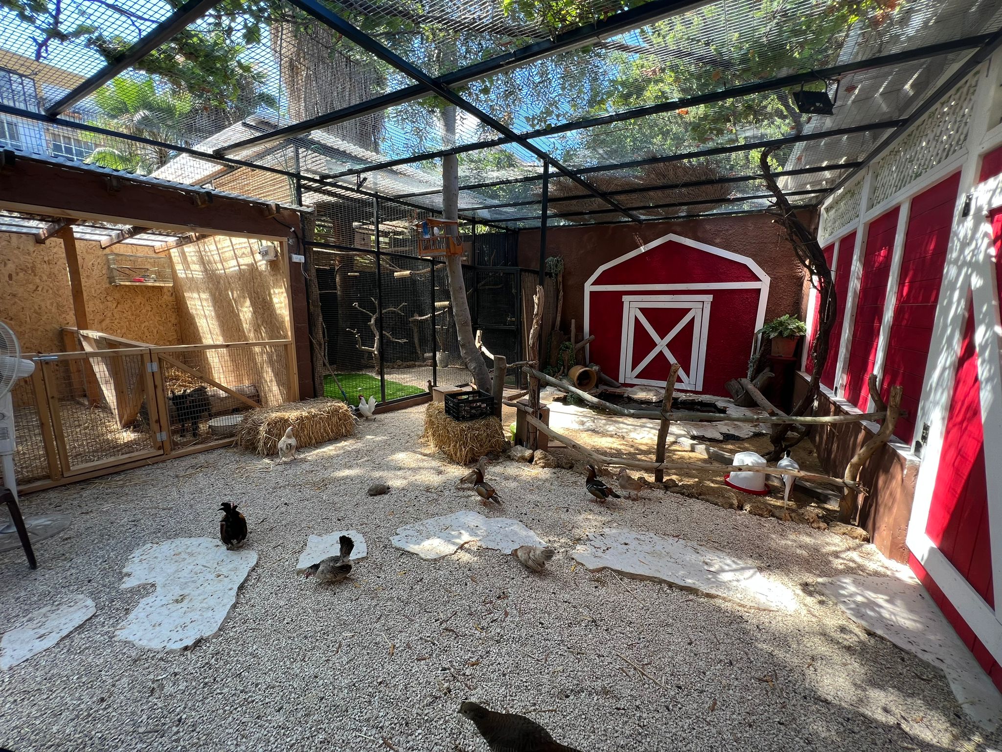 WhatsApp Image 2023-07-14 at 13.52.47.jpg